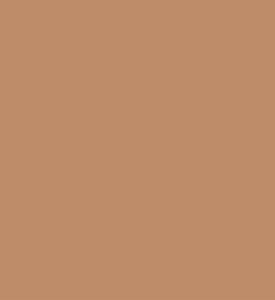 Tom Ford Fdt Archt Rdnce Hydr Spf50, 25n-shell-beige, Packshot View