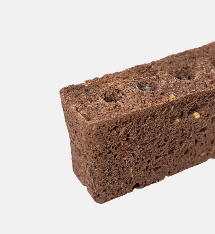 Veritable Gardens Mini Legume Pink Mini-tomato, Packshot View