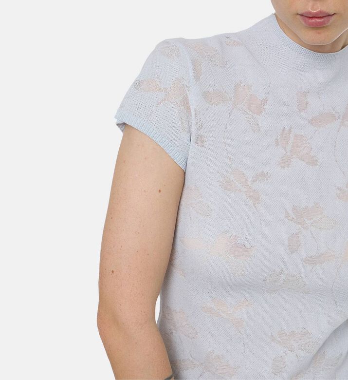 Samsoe Ts Samarine, Model View