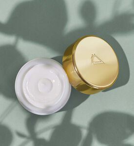 كريم نهاري فالمونت برايم رينيوينغ باك