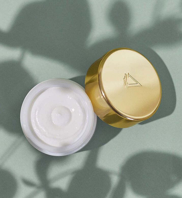 كريم نهاري فالمونت برايم رينيوينغ باك