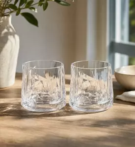 Koziol Geschenk Superglass Water Glass 2-piece Set, Model View