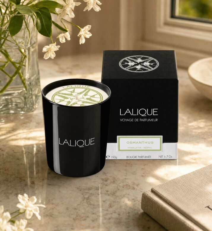 Lalique Himalaya Osmanthus Scented Candle, Model View