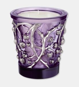 Lalique Candle Vase 750g Epines, Packshot View