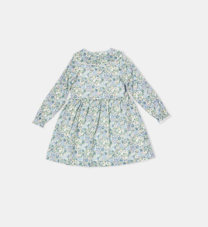 Floral-print Ruffled Neck Flared Dress