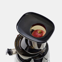 Mega Mouth Vertical Low-speed Juicer