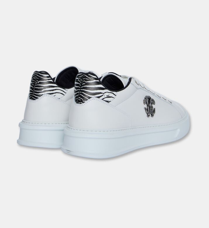 Roberto Cavalli Shoes Sport Calf Pasha, Packshot View