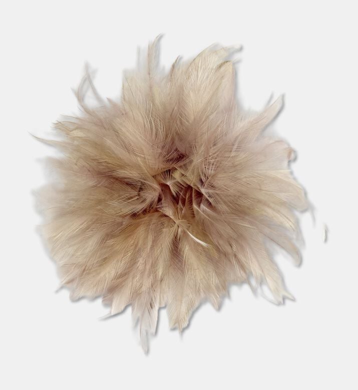 Shishi Feather Ball With Clip 25cm, Packshot View