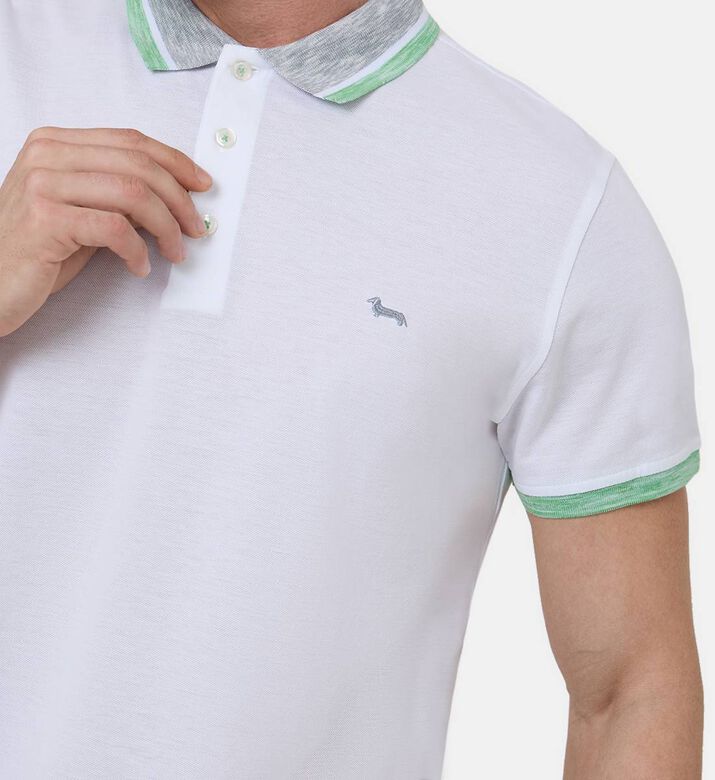 Jersey Cotton Polo Shirt