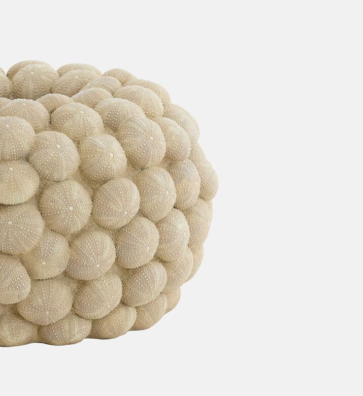 Light and Living Sea Round-shape Urchin Vase, Packshot View