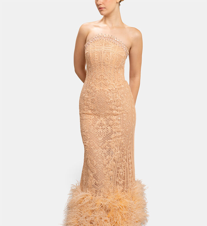 Michael Cinco Long Dress, Model View