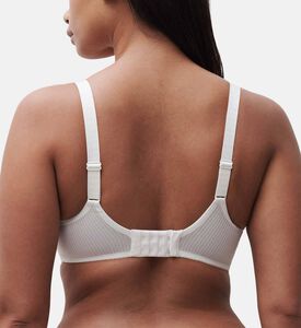 Chantelle Embroidered Lace Bra, Ivory, 95, D, Model View