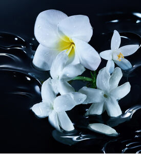 Replica Dancing On The Moon Eau De Parfum