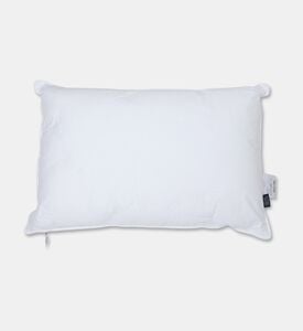 Home Deco and More Palma Pillow, Packshot View