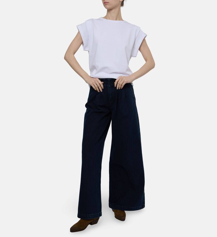 Ba and Sh Ts Pio, Model View