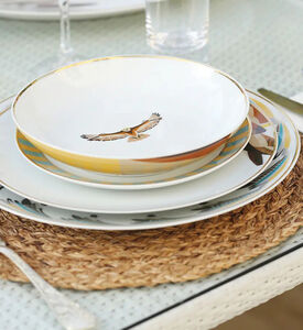 Silsal Sarb Soup Bowl - Falcon, Packshot View
