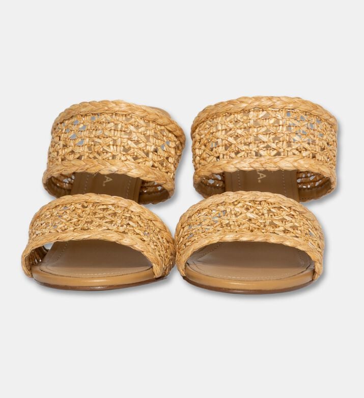 Arezzo Shoes Sabot, Packshot View