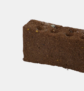 لينغو نعناع مغربي عضوي