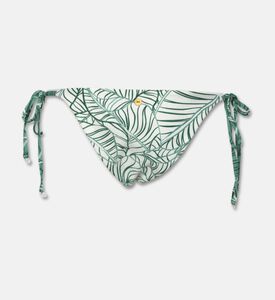 Palmacea Swst Luna, Packshot View