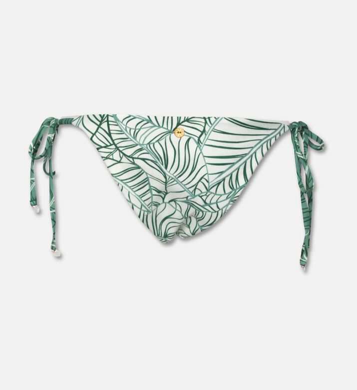 Palmacea Swst Luna, Packshot View