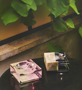 وعاء إيلوجن 6.5 × 12 × 12 سم