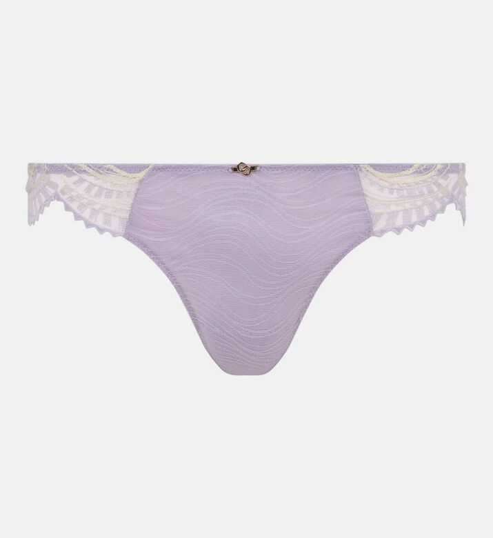 Sheer Floral Lace Panel Brief