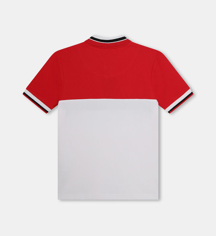 تيشيرت بولو بيكيه بوغو عالي الدقة تيشيرت بولو بيكيه بوغو عالي الدقة