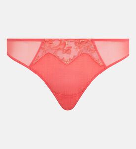 Sheer Mesh Sides Brief