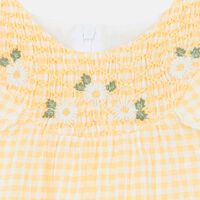 Gingham Check Embroidered Dress