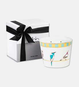 Silsal Sarb Naseem Candle - 500g, Packshot View