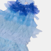 Swim Club Tutu Midi Dress