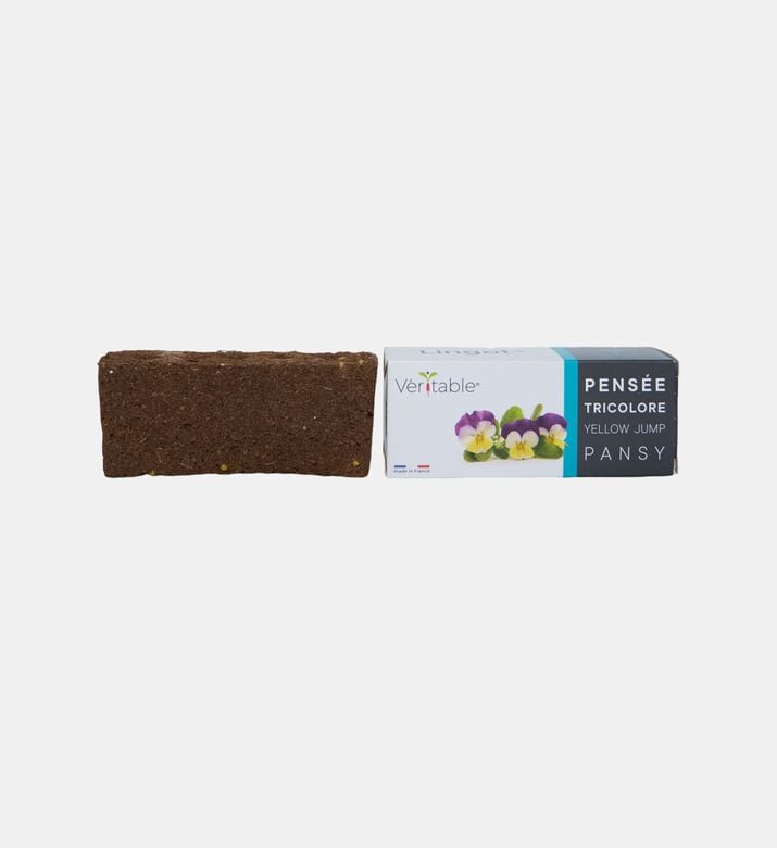 Phlox Flower Lingot