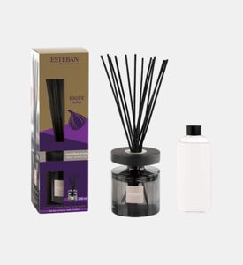 Figue Noire Ellipse Refillable Bouquet