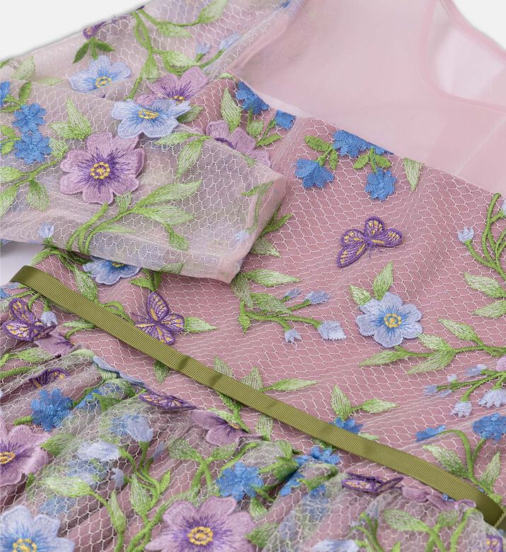 Embroidered Tulle Dress