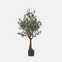 Olive Tree Pot - 110cm