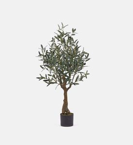 إناء شجرة زيتون - 110 سم