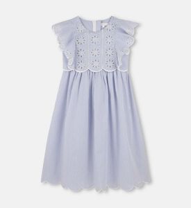 Striped Pattern Flared Dress