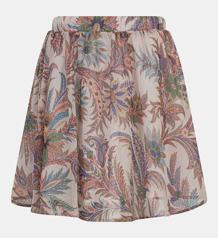 Etro Skirt Woven, Packshot View