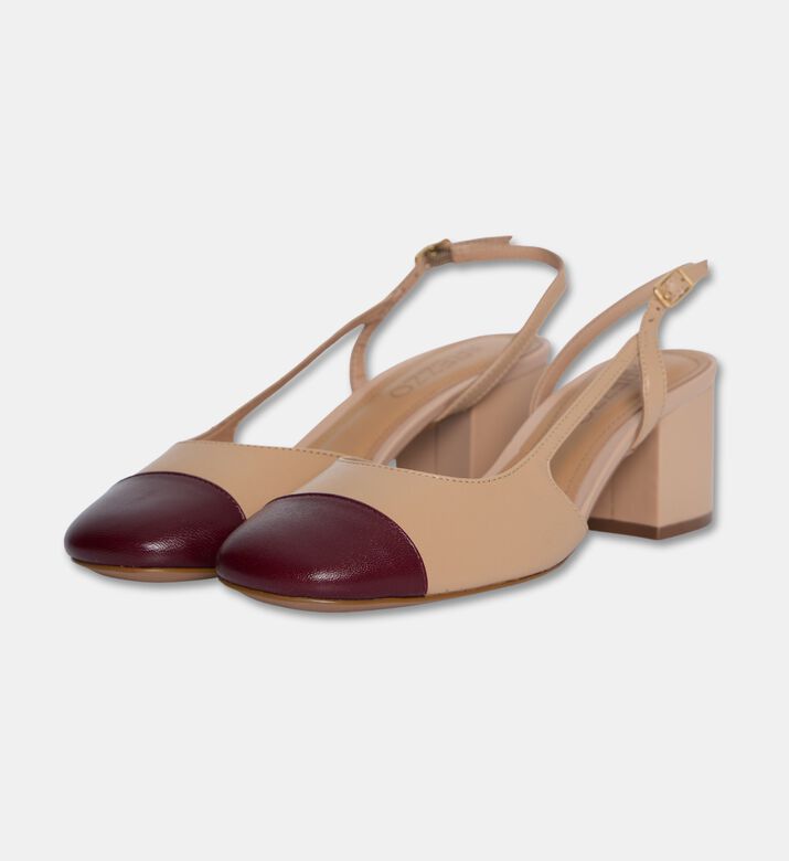 Arezzo Shoes, Packshot View