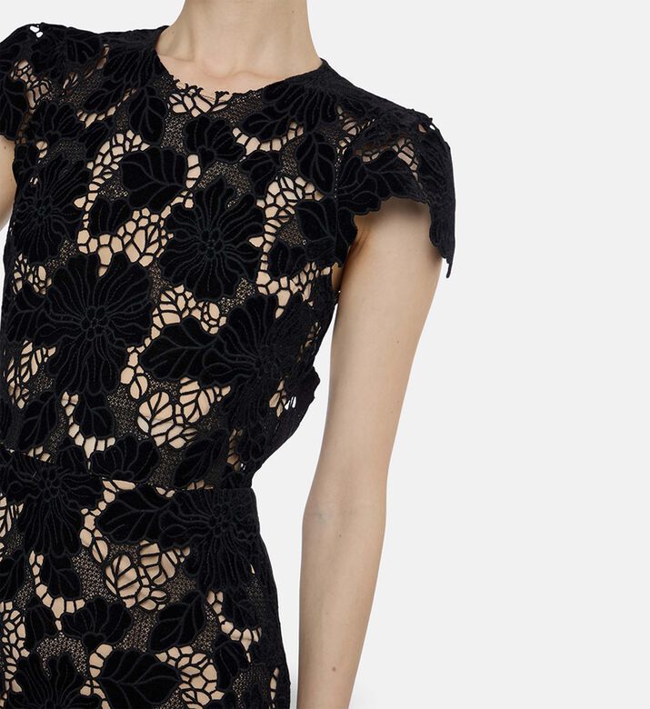 Alice and Olivia Clover Floral-lace Midi Dress, Model View