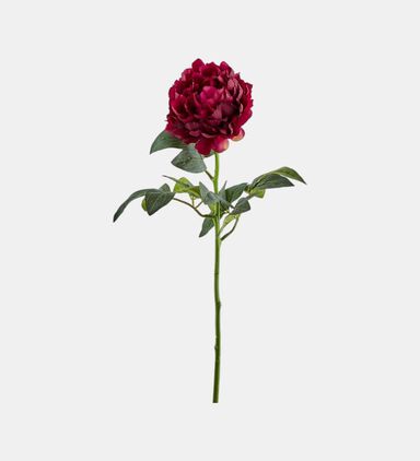 Real Peony Branch
