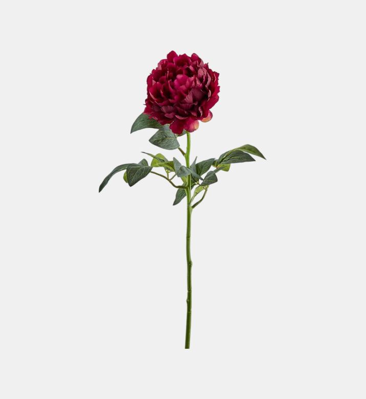 Real Peony Branch