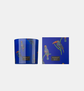 شمعة  Jungletopia