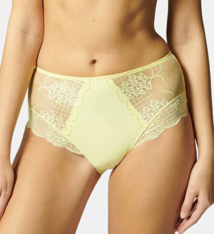 Reve Retro Briefs
