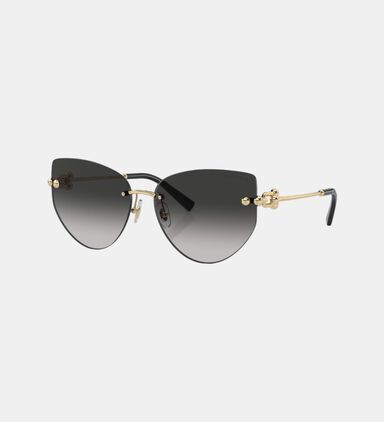 Cat-eye Shape Sunglasses 60