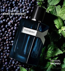 واي انتينس او دي بارفان