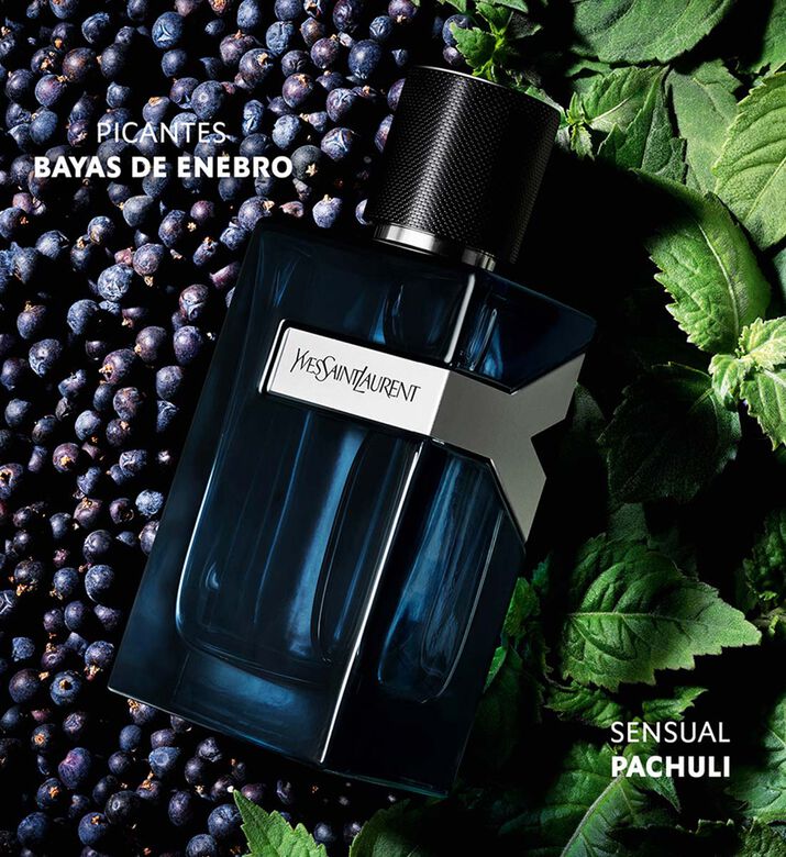 واي انتينس او دي بارفان