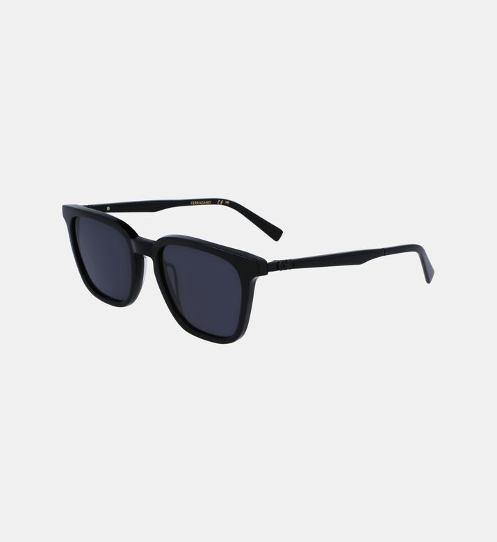 Modified Rectangle Full-rim Sunglasses 52