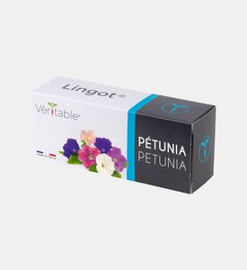 أزهار بتونيا صالحة للأكل