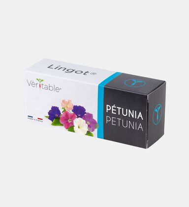 Petunia Edible Flowers